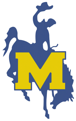 McNeese State Cowboys 1987-2003 Primary Logo t shirts iron on transfers